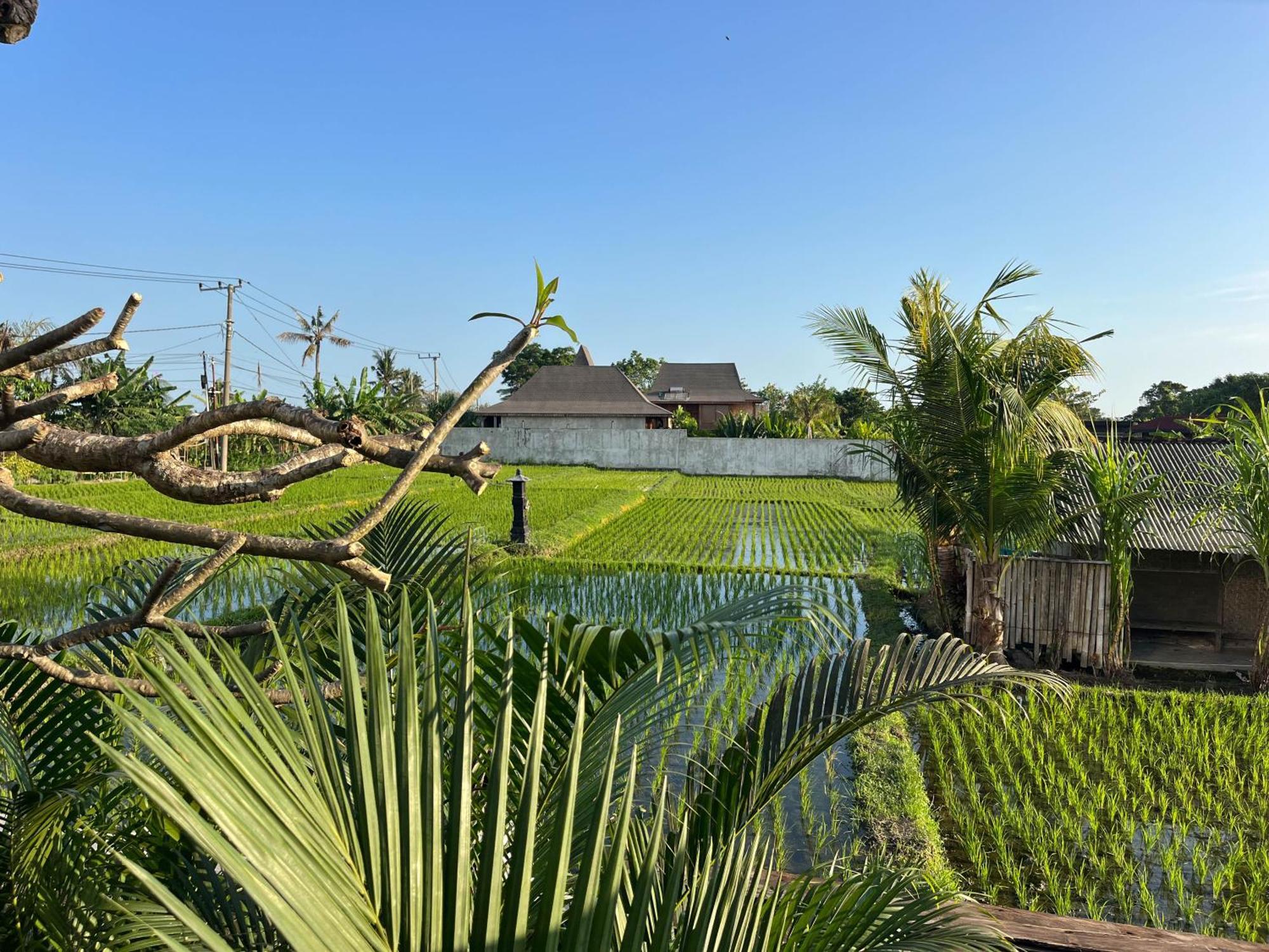 Unit Space Village Canggu Exterior foto